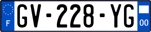 GV-228-YG