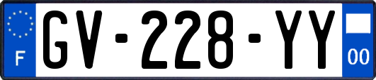 GV-228-YY