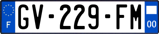 GV-229-FM