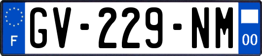 GV-229-NM