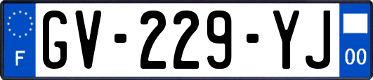 GV-229-YJ