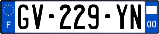 GV-229-YN