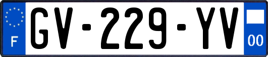 GV-229-YV