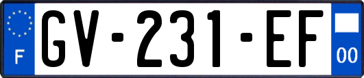 GV-231-EF