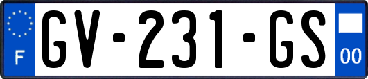 GV-231-GS