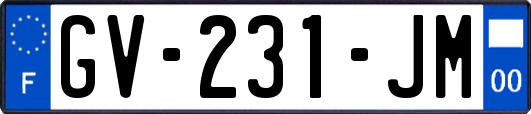 GV-231-JM