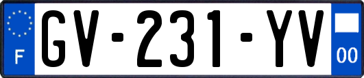 GV-231-YV