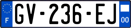 GV-236-EJ