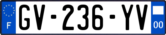 GV-236-YV
