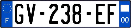 GV-238-EF