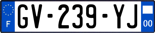 GV-239-YJ