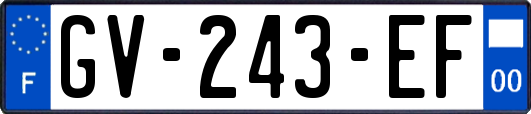 GV-243-EF