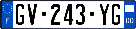 GV-243-YG