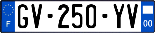 GV-250-YV