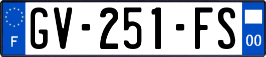 GV-251-FS
