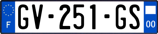 GV-251-GS