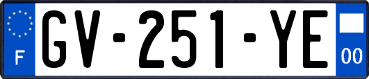 GV-251-YE
