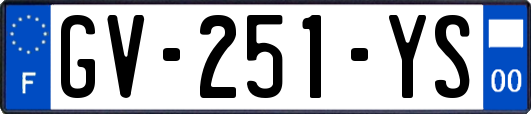GV-251-YS