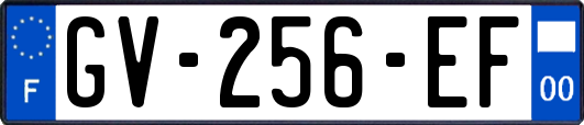 GV-256-EF