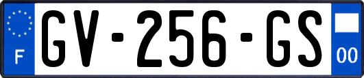 GV-256-GS