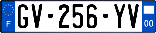 GV-256-YV