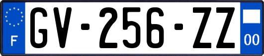 GV-256-ZZ