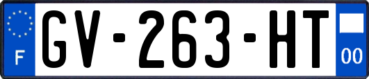 GV-263-HT