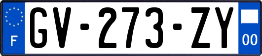 GV-273-ZY