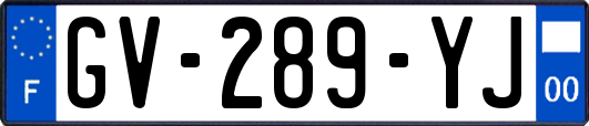GV-289-YJ