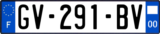 GV-291-BV