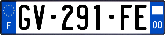 GV-291-FE