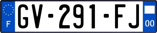 GV-291-FJ