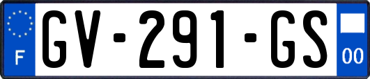 GV-291-GS