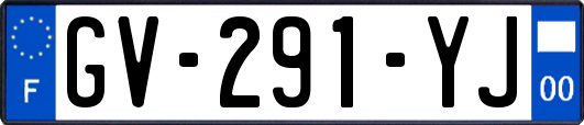 GV-291-YJ