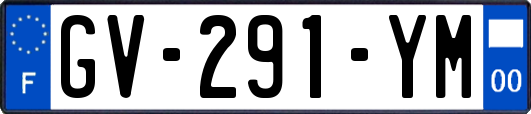 GV-291-YM