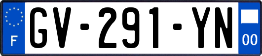 GV-291-YN