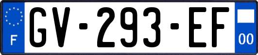 GV-293-EF