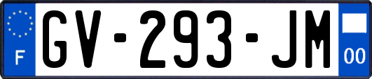 GV-293-JM