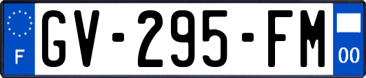 GV-295-FM