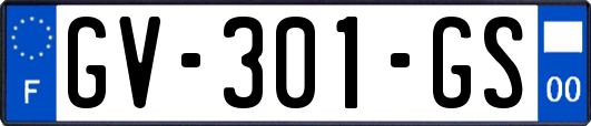 GV-301-GS