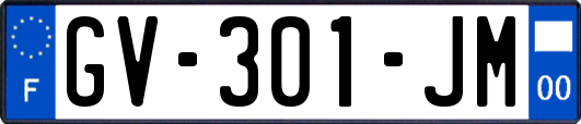 GV-301-JM