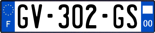 GV-302-GS