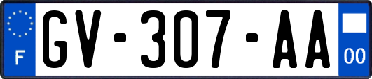 GV-307-AA