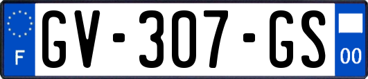 GV-307-GS