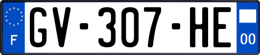 GV-307-HE
