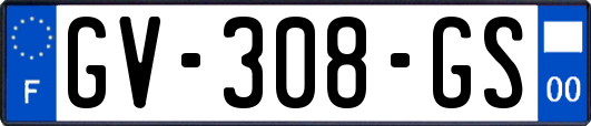 GV-308-GS