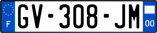 GV-308-JM