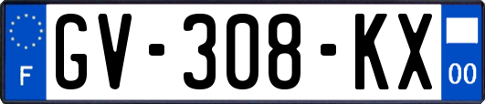 GV-308-KX