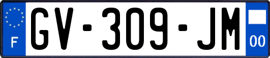 GV-309-JM