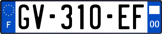 GV-310-EF